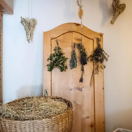 Haus Melita In Feistritz ob Bleiburg